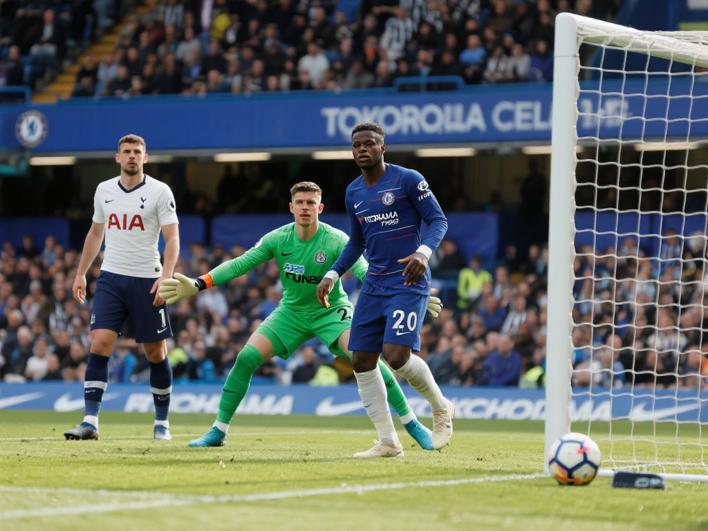 除了选择可 除了选择可